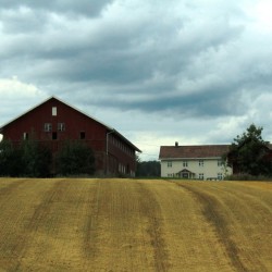 Una fattoria