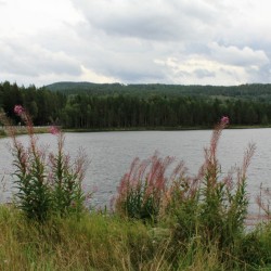 Il lago di Elgsjø