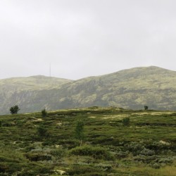 Le montagne a Hjerkinn