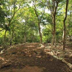 Il sentiero al Cenote Samula