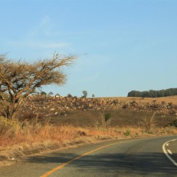 La regione Mpumalanga