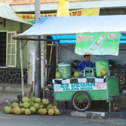 Qualcuno vende noci di cocco