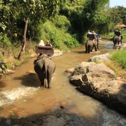 Ritorno al Maesa Elephant Camp