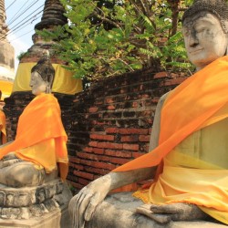 Statue di Buddha