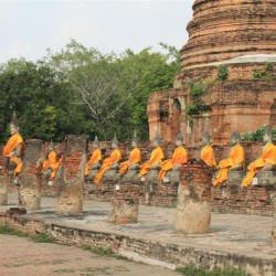 Buddha lungo le mura del chiostro