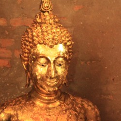 Buddha ricoperto di fogli d'oro