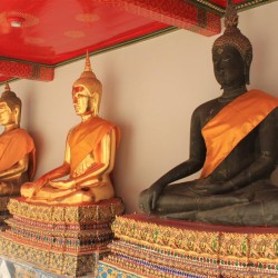 Fila di Buddha nel Wat Po