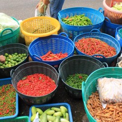Il mercato di Samut Songkhram