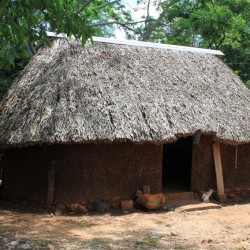Una tipica casa maya