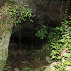 La grotta dove vanno a bere le scimmie