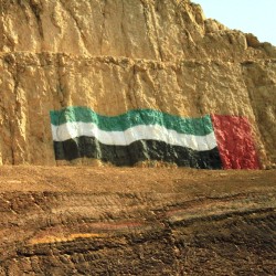 La bandiera degli Emirati