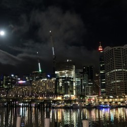 Sydney CBD di notte