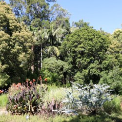 Il giardino botanico